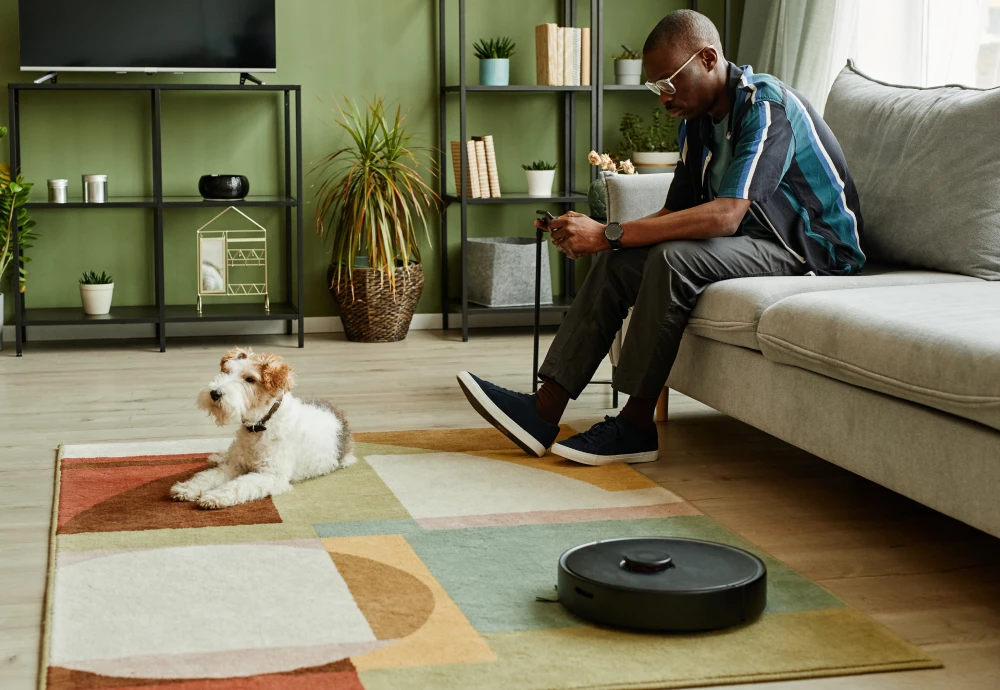 cleaning robot vacuum and mop